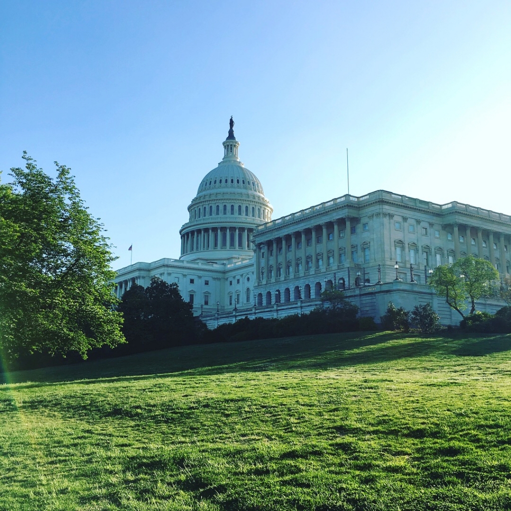 U.S. Capitol in the morning